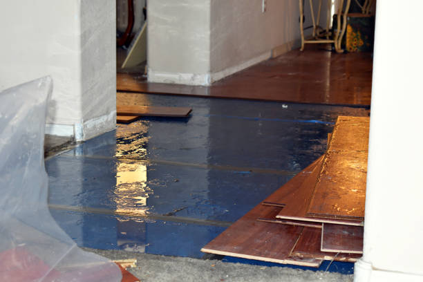 Professional Basement Flood Cleanup technician working in Nokomis, IL